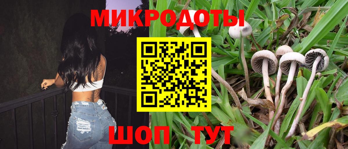 Псилоцибиновые грибы MAGIC MUSHROOMS Обнинск
