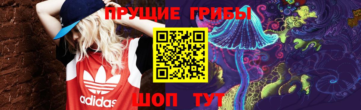 Обнинск  Галлюциногенные грибы мухоморы  Вход с VPN  Псилоцибиновые грибы Psilocybe 