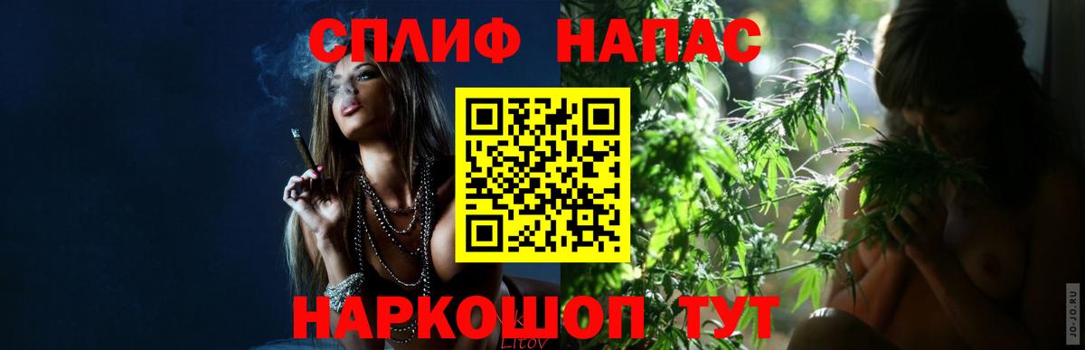 Бошки Шишки семена Обнинск